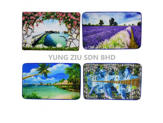 80*120CM 3D PICTURE DOOR MAT